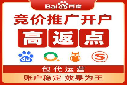 SEM广告投放策略：成功案例解析